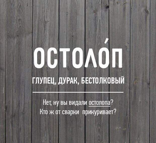 Редкие бранные слова русского языка (20 картинок)