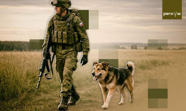 Приключения рядового Петра Бибихина в тылу, на фронте и много еще где, ч. 3