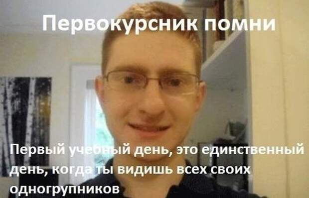 Прикольные картинки Прикольные картинки