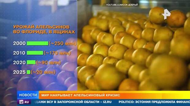 Мир накрывает апельсиновый кризис