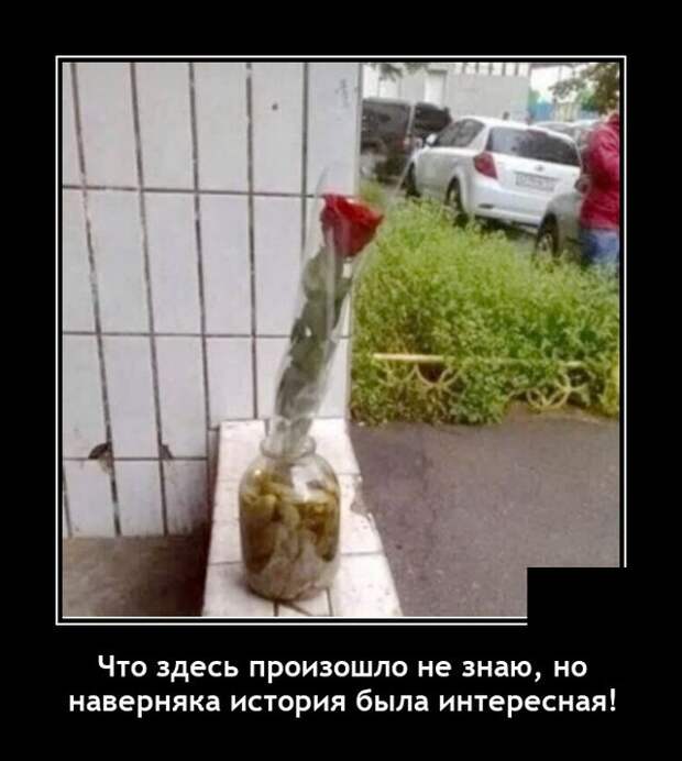 Демотиваторы 29 октября 2021 года