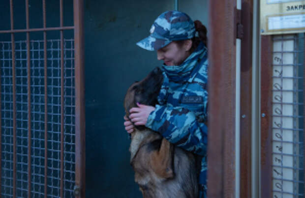 В Крыму в рамках Всероссийской акции «Студенческий десант» при поддержке Общественного совета студенты продолжили своё погружение в будни полицейских