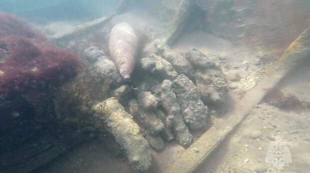 В Крыму за 2025 год уничтожили почти 1,5 тысячи взрывоопасных предметов