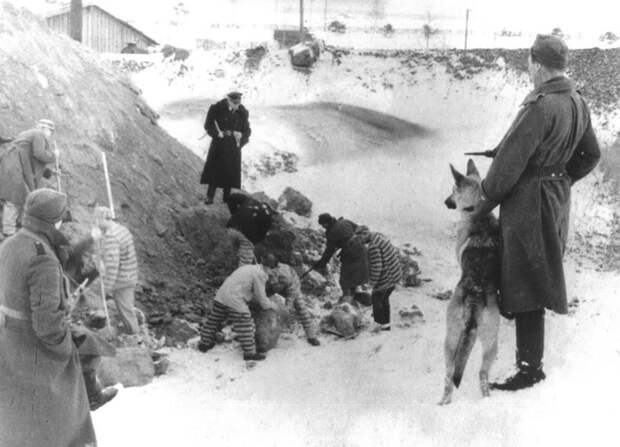 Как жили в СССР под нацистской оккупацией (ФОТО)