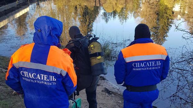 Иномарка с пьяными подростками упала в реку в Ленобласти, двое погибли