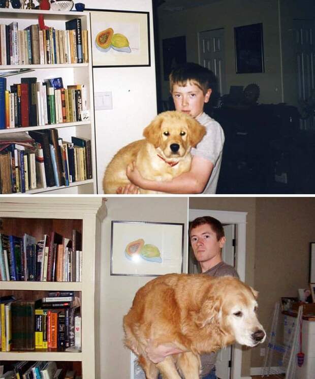 My Dog Midas And Myself After A Decade Together My Dog Midas And Myself After A Decade Together
