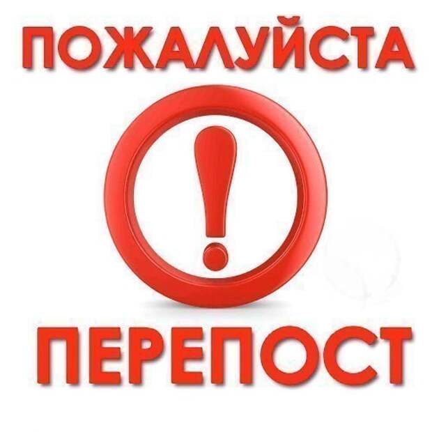 Она славная малышка, о такой мечтает каждая семья!)