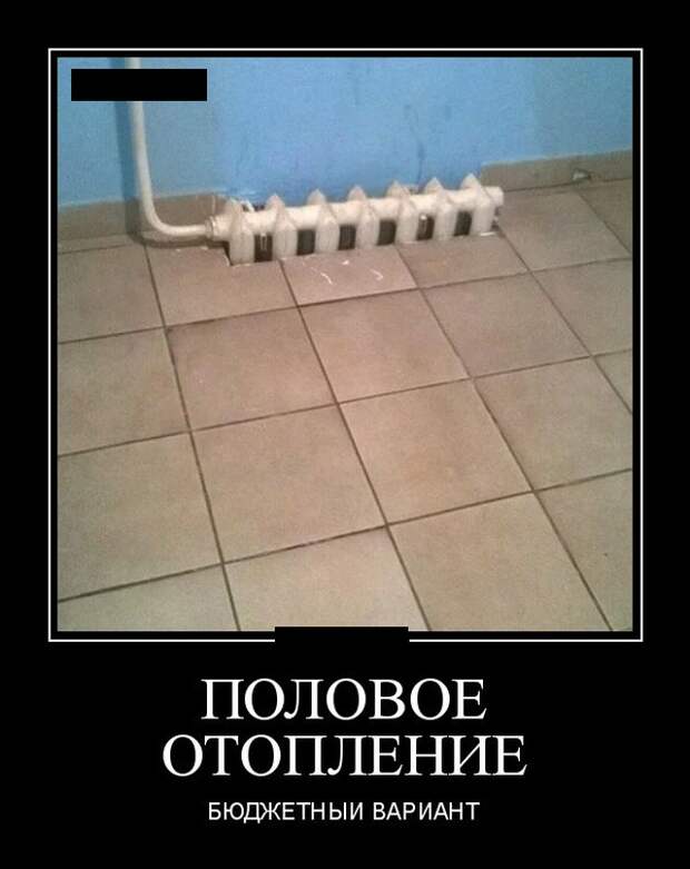 Демотиваторы (20 фото)