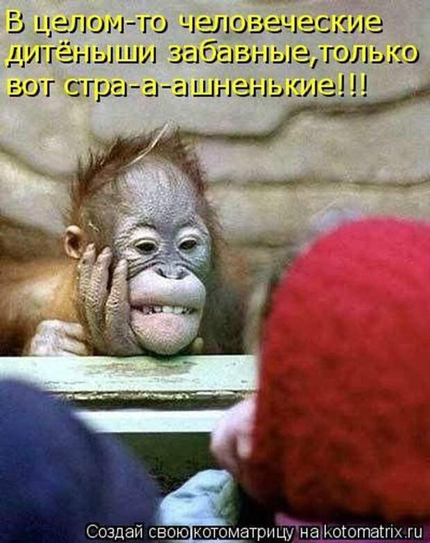 Мысли вслух :)