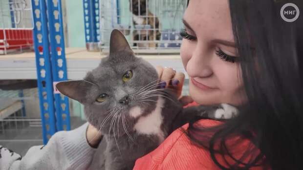 Кота и собаку взяли под опеку воспитанники детского дома «Семья»