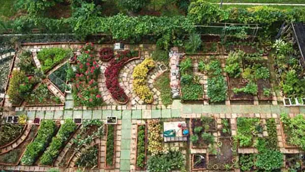Дизайн огорода своими руками: 100 фото