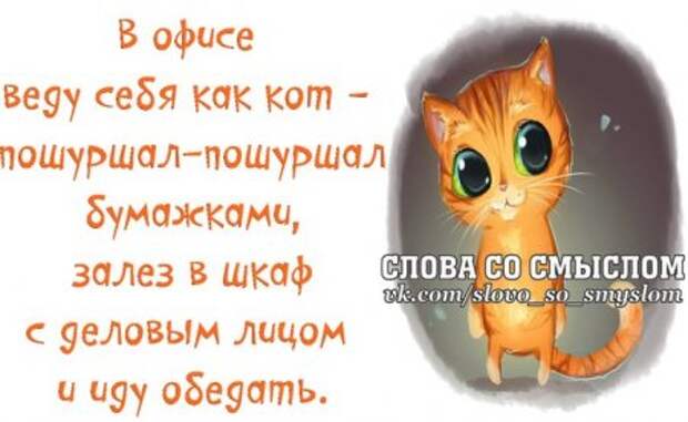 Позитивные фразочки...