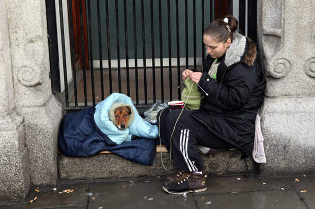 dogs_dont_care_about_money_all_they_need_is_love_640_14