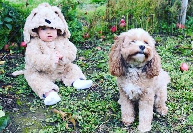 This Is A Picture Of My Dog, And My Daughter Dressed Like My Dog, Going Apple Picking