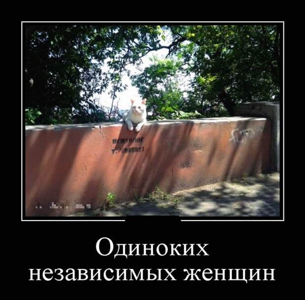 Демотиваторы (30 фото)