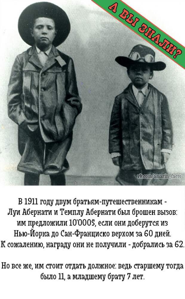 интересные факты