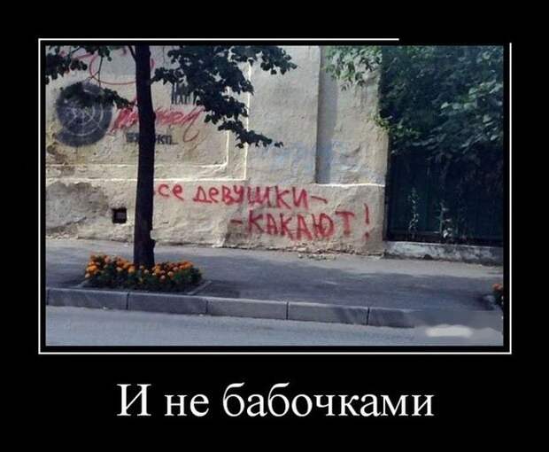 Демотиваторы