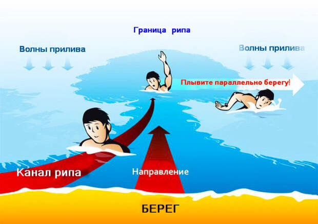 Этот природный феномен уносит сотни жизней в год, но о нем знают немногие безопасность, вода, море, течение, это надо знать