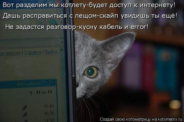 Котоматрица: Вот разделим мы котлету-будет доступ к интернету! Дашь расправиться с лещом-скайп увидишь ты ещё! Не задастся разговор-кусну кабель и error!