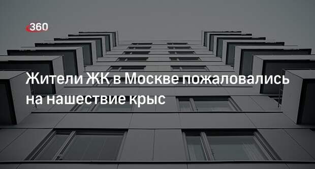 Lenta.ru: жители ЖК «Кварталы 21/19» в Москве пожаловались на крыс
