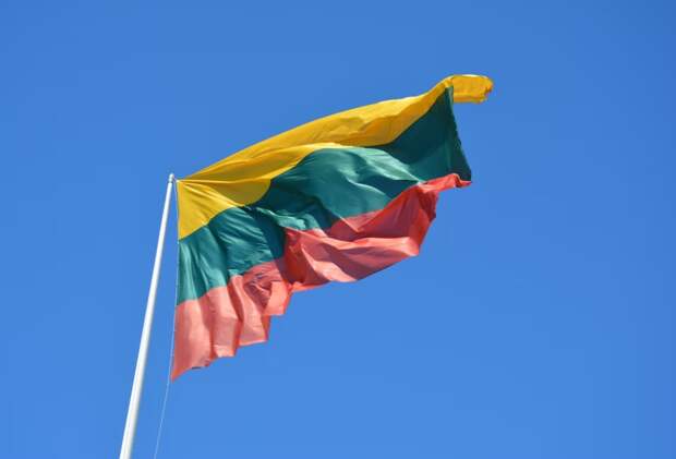 Алейник: Литва финансирует боевиков для свержения власти в Белоруссии