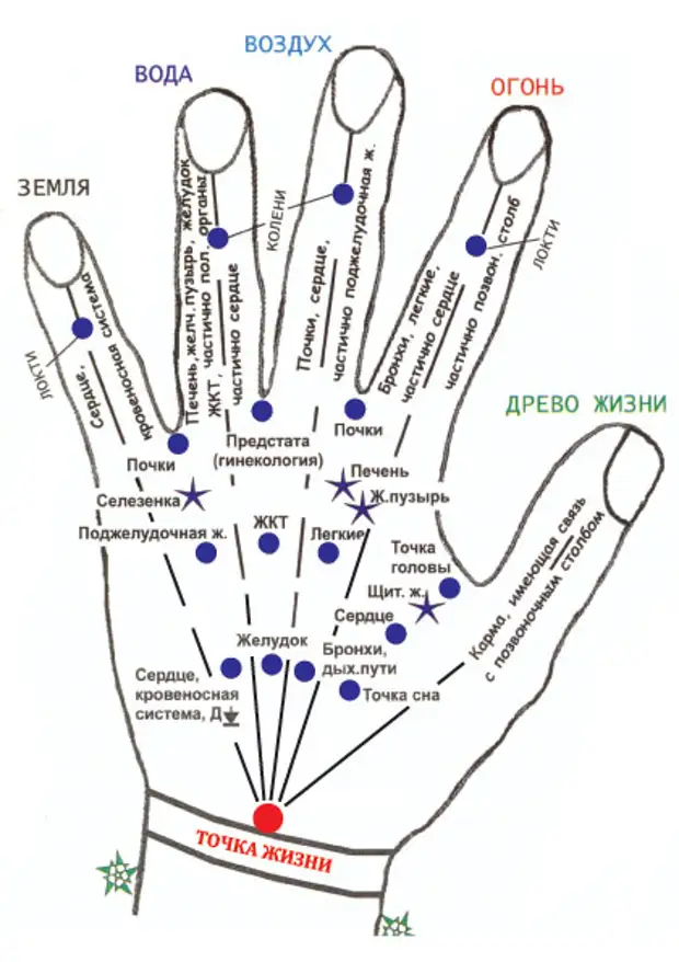 Какие точки массировать на руке. Точки акупунктуры на ладони. Схема биологически активные точки ладоней рук. Точки акупунктуры на ладони человека. Схема акупунктурных точек на ладони.