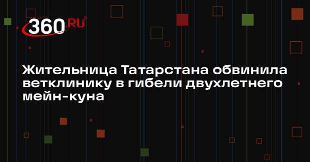 Жительница Татарстана обвинила ветклинику в гибели двухлетнего мейн-куна