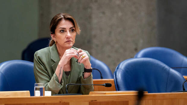 МО Нидерландов заявило о содействии Киеву в производстве двух типов БПЛА