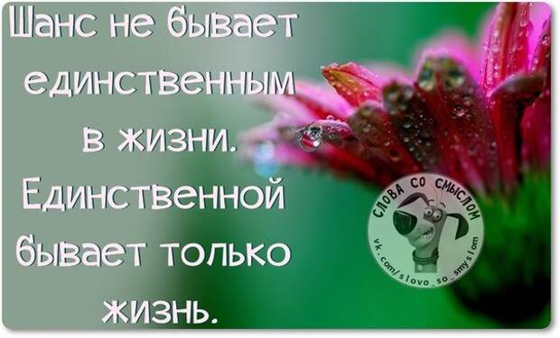 5672049_1429124416_frazochki15 (604x366, 48Kb)