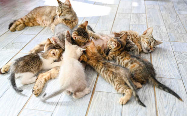 1 марта: какой сегодня день