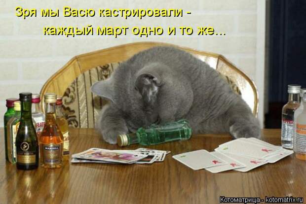 Котоматрица: каждый март одно и то же... Зря мы Васю кастрировали -