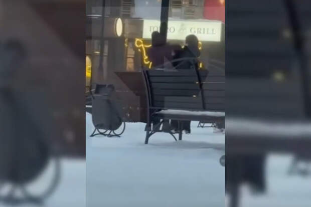 Найден избивший ребенка за случайное попадание снежком россиянин