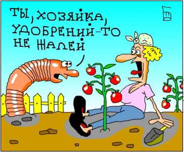 Убойные и смешные карикатуры (25 фото) Убойные и смешные карикатуры (25 фото)