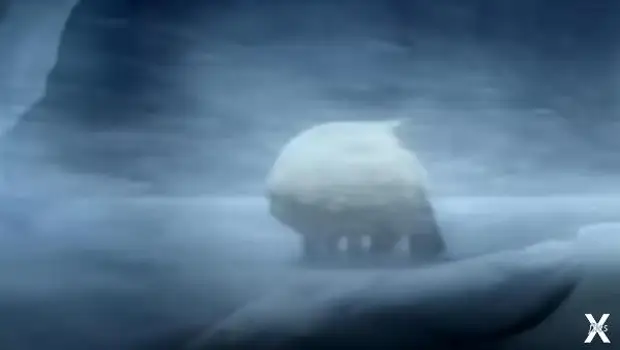 Научное описание внешнего вида пришельцев по Хокингу (Видео)