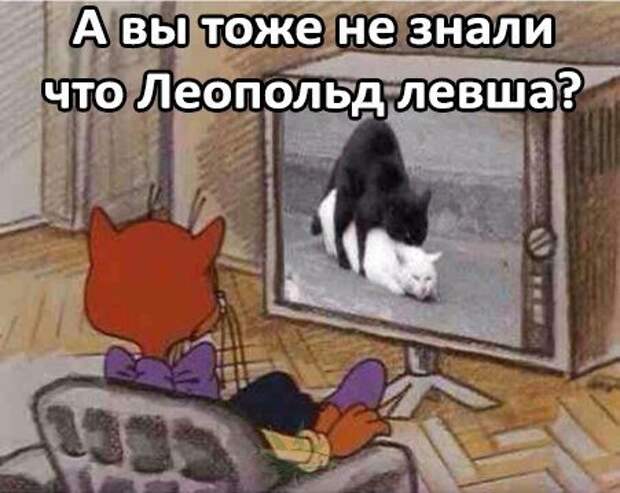 Подборочка фото-приколов и картинок (31 шт)