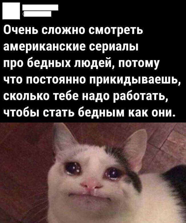 смешные картинки с надписями (3)
