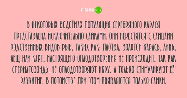 Любопытные факты, которые будут интересны людям с высоким IQ Любопытные факты, которые будут интересны людям с высоким IQ занимательные факты, факты