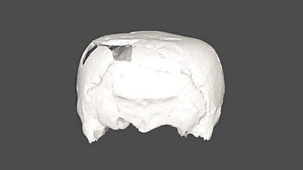 Археологи нашли 1400-летний череп, удививший их своей формой