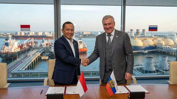 Индонезия договорилась о поставках нефти и газа из России