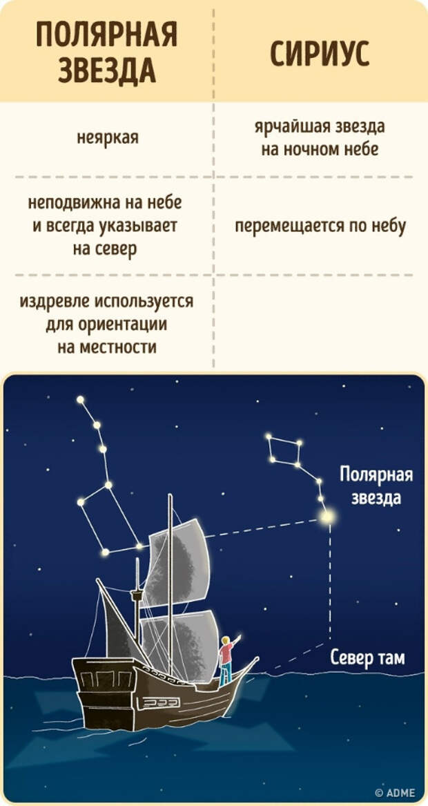 Сириус и Полярная звезда. 10 простейших вещей, которые мы путаем еще со школы. Фото с сайта NewPix.ru