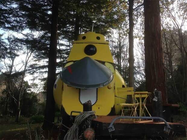 В новозеландском лесу выросла собственная Yellow Submarine В новозеландском лесу выросла собственная Yellow Submarine