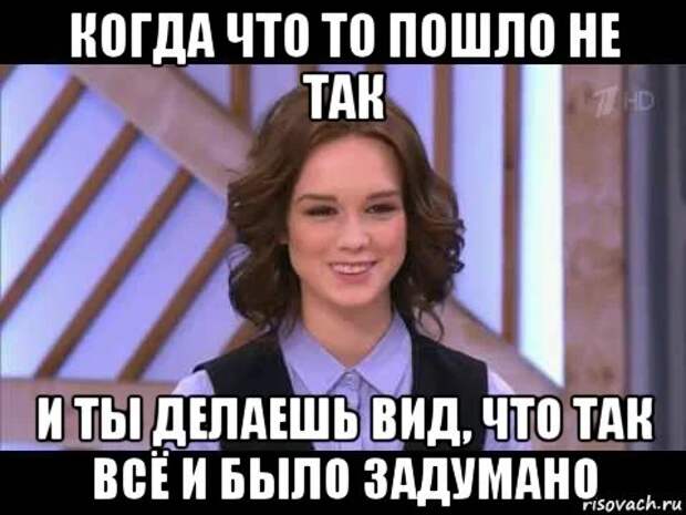 Делать вид. Если что-то пошло не так. Что-то пошло не так Мем. Что-то пошло не так картинки прикольные. Что то пошло не так прикол.