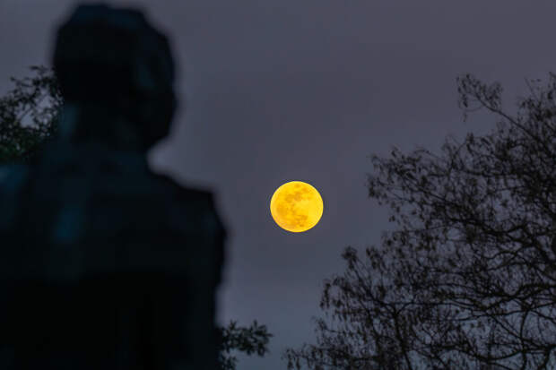 NYT: новая лунная гонка началась из-за борьбы за ресурсы