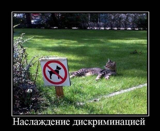 Зачетные и смешные демотиваторы из нашей жизни (11 фото)
