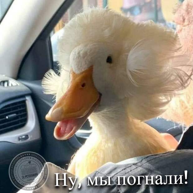Ну, мы погнали!
