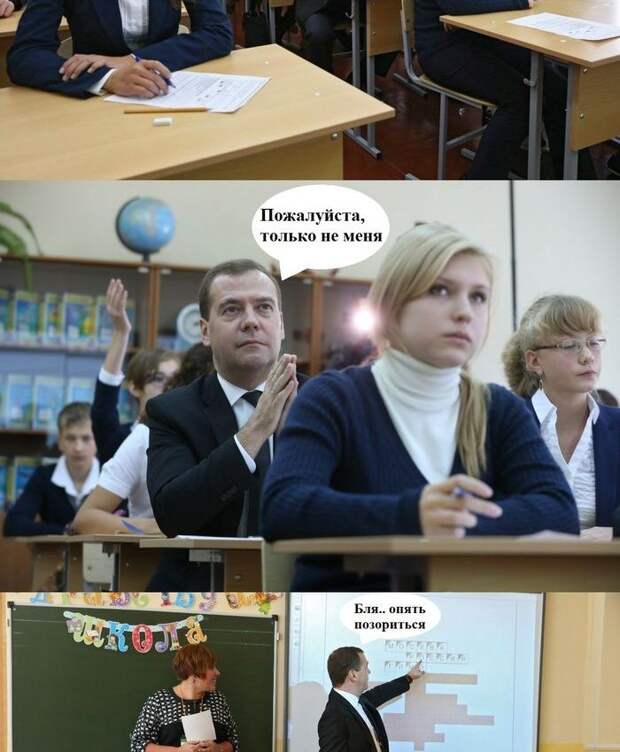 Прикольные картинки Прикольные картинки
