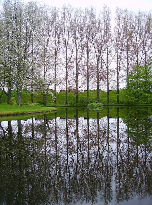Сад-Вселенная Чарльза Дженкса в Шотландии. Фото
