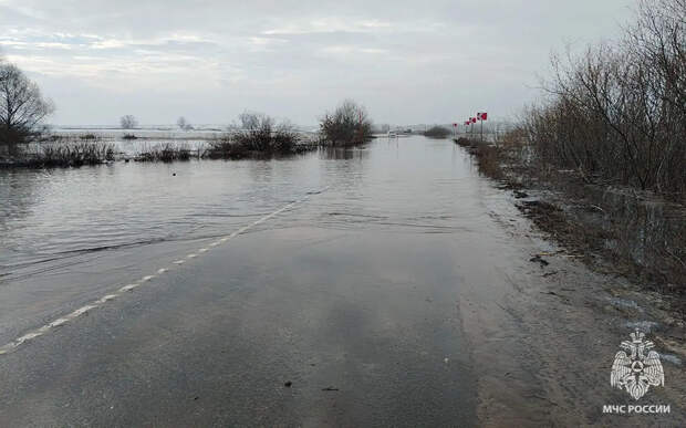 В реках Рязанской области продолжается подъем воды