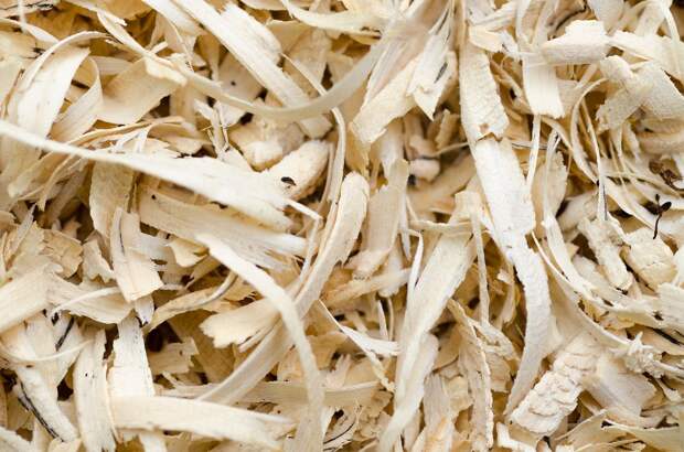 Органические удобрения: опилки и древесная кора рис 2