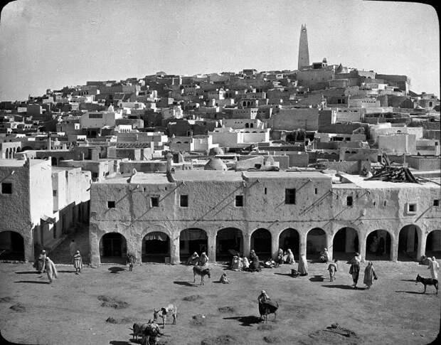 Восточная жемчужина Алжира, находящаяся на средиземноморском побережье. Восточная жемчужина Алжира, находящаяся на средиземноморском побережье.